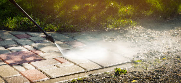 Animal Enclosure Cleaning in Battlement Mesa, CO